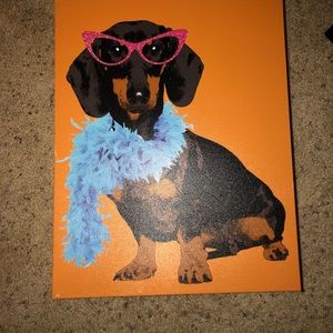 Dachshund picture